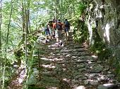 Salita in Val Sanguigno al Rif. Gianpace e al Passo di Zulino il 18 luglio 2010 - FOTOGALLERY